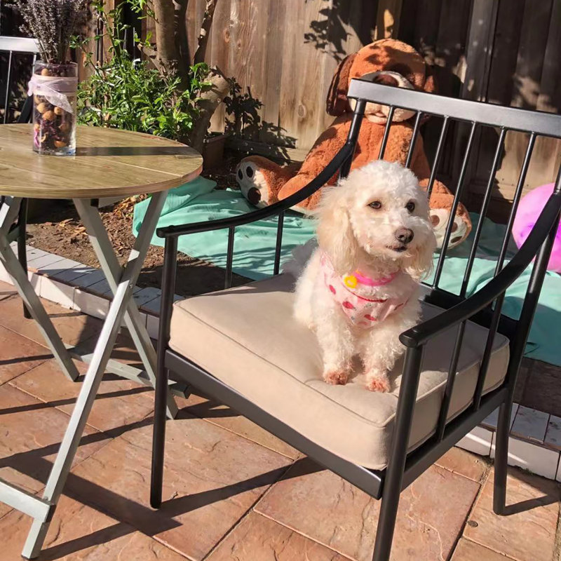 Lark Manor Mcgahan Metal Outdoor Dining Armchair with Cushion & Reviews